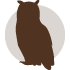 Hibou apparence